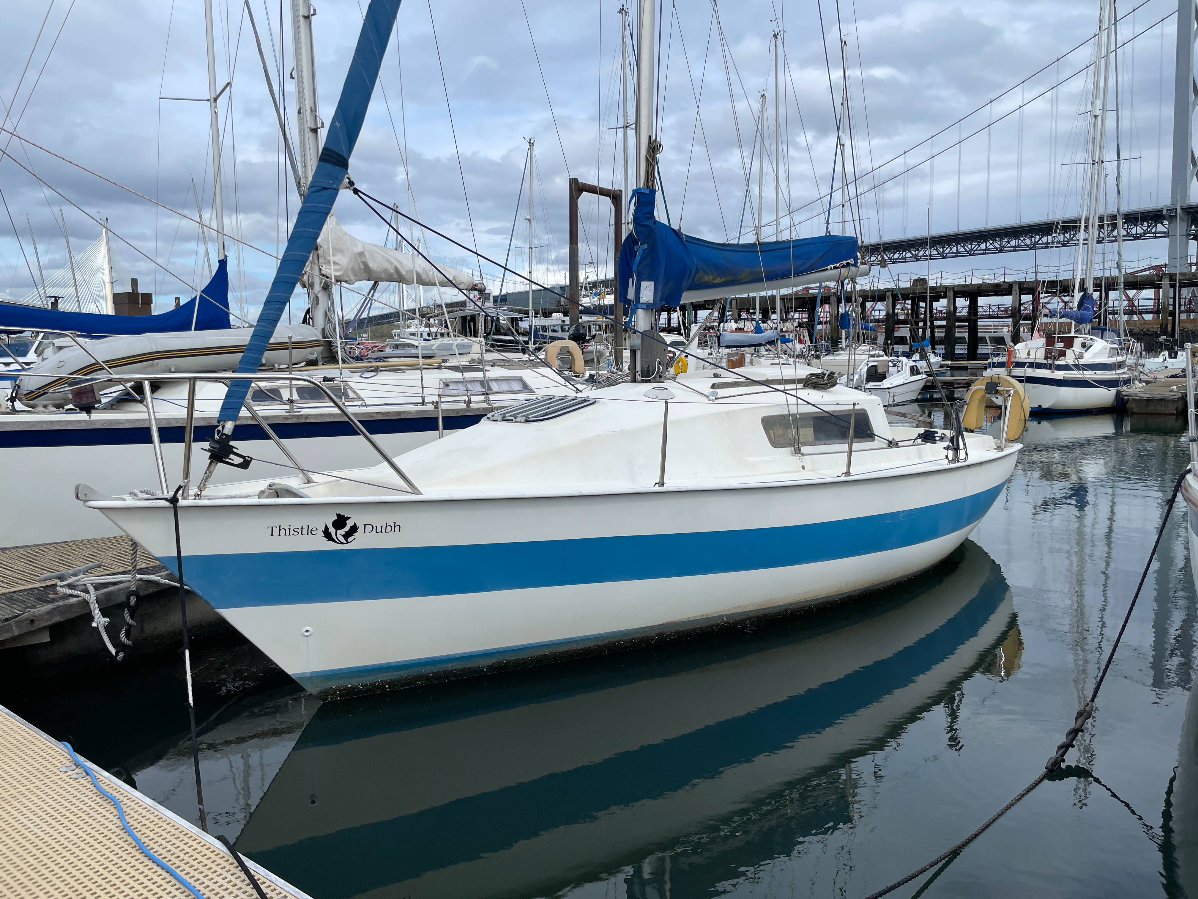 Jaguar 23