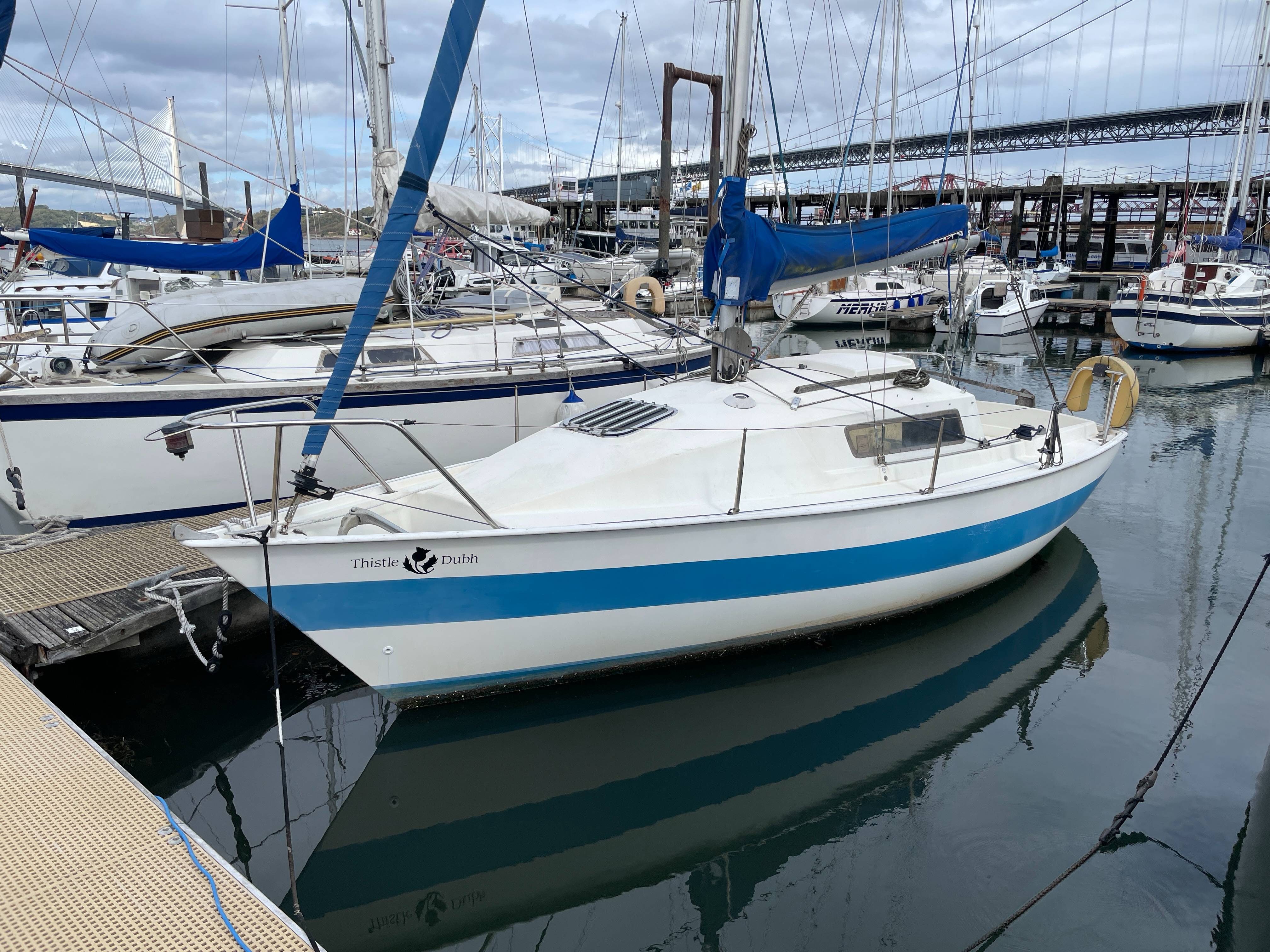 Jaguar 23