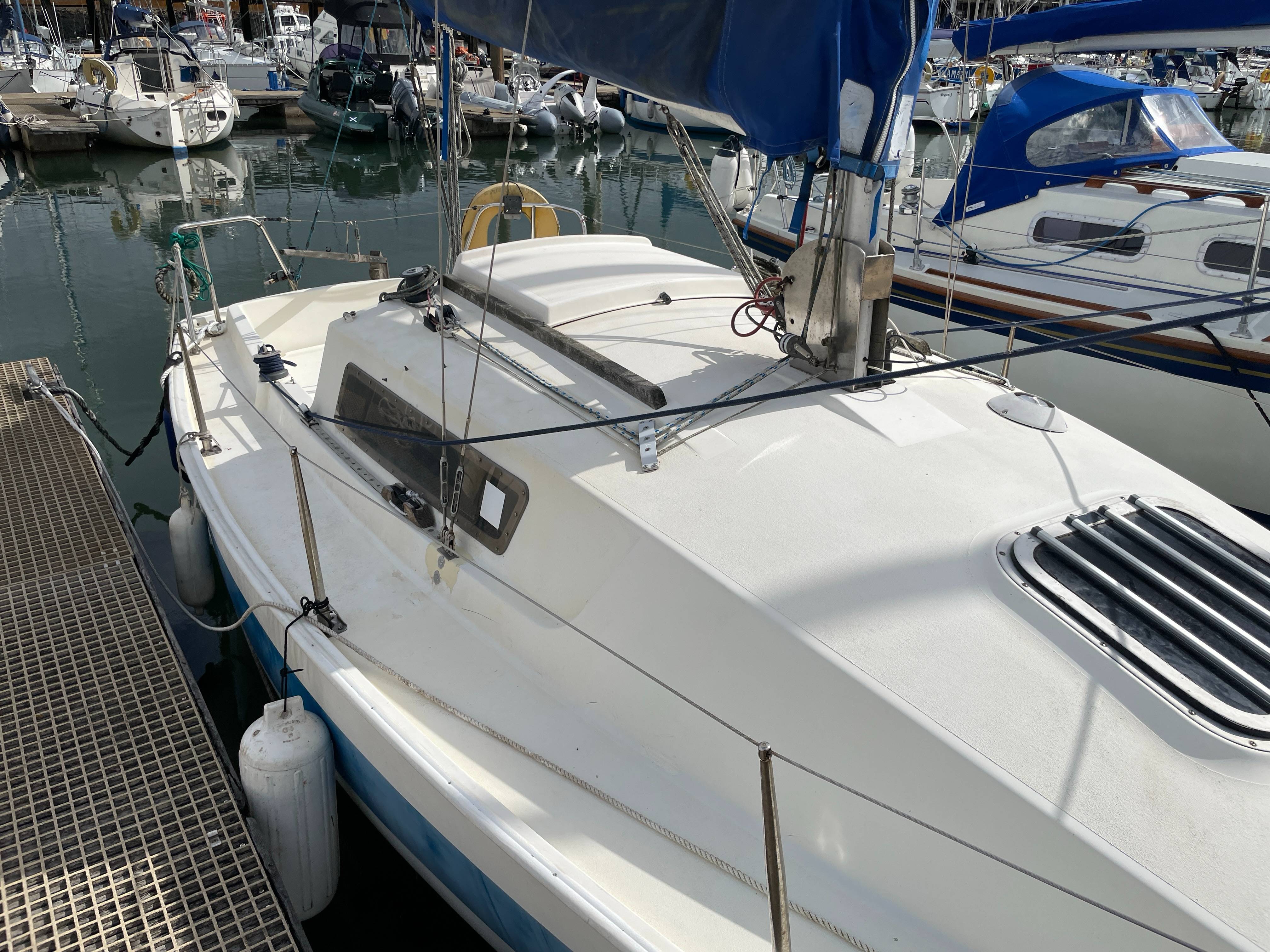 Jaguar 23
