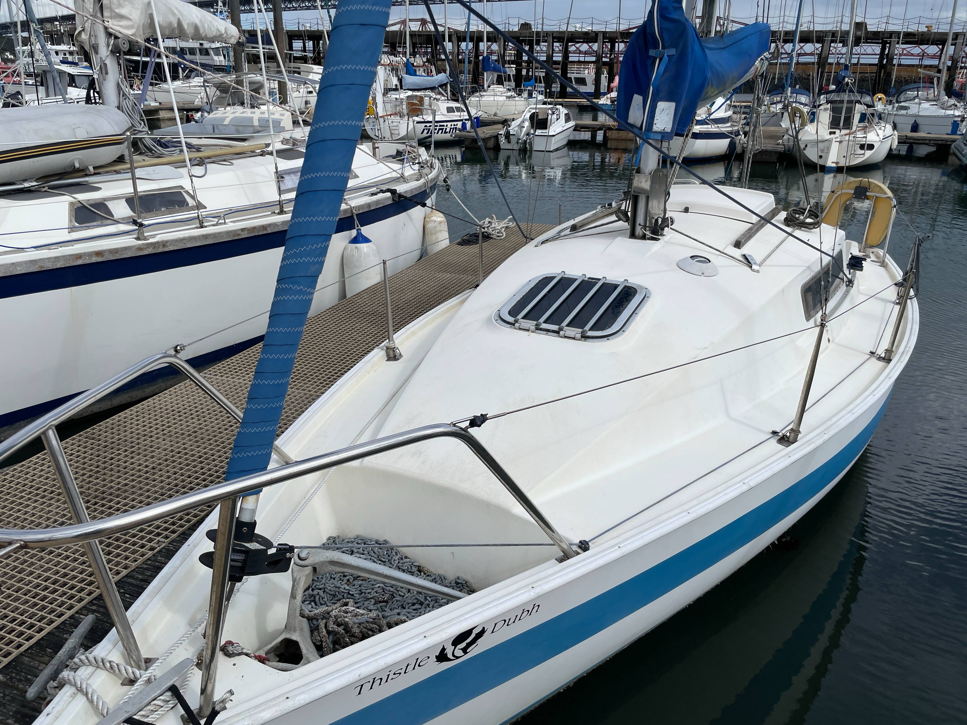 Jaguar 23