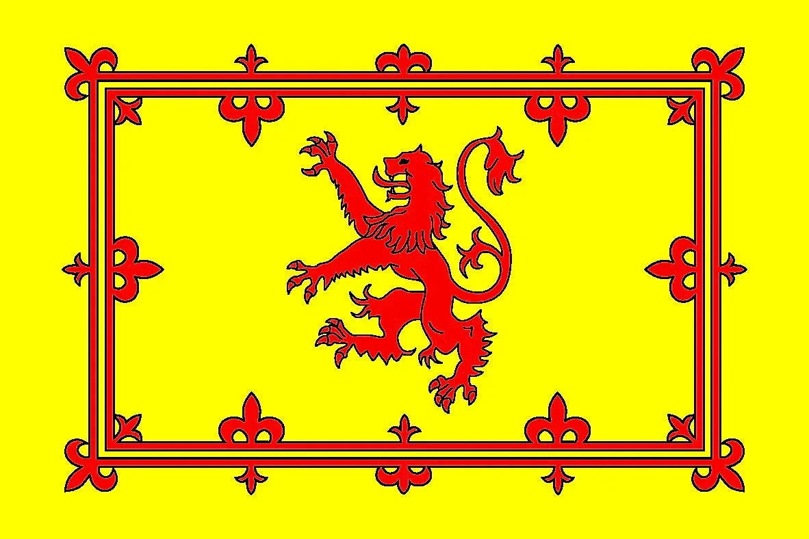 Lion Rampant Flag 45x30cm