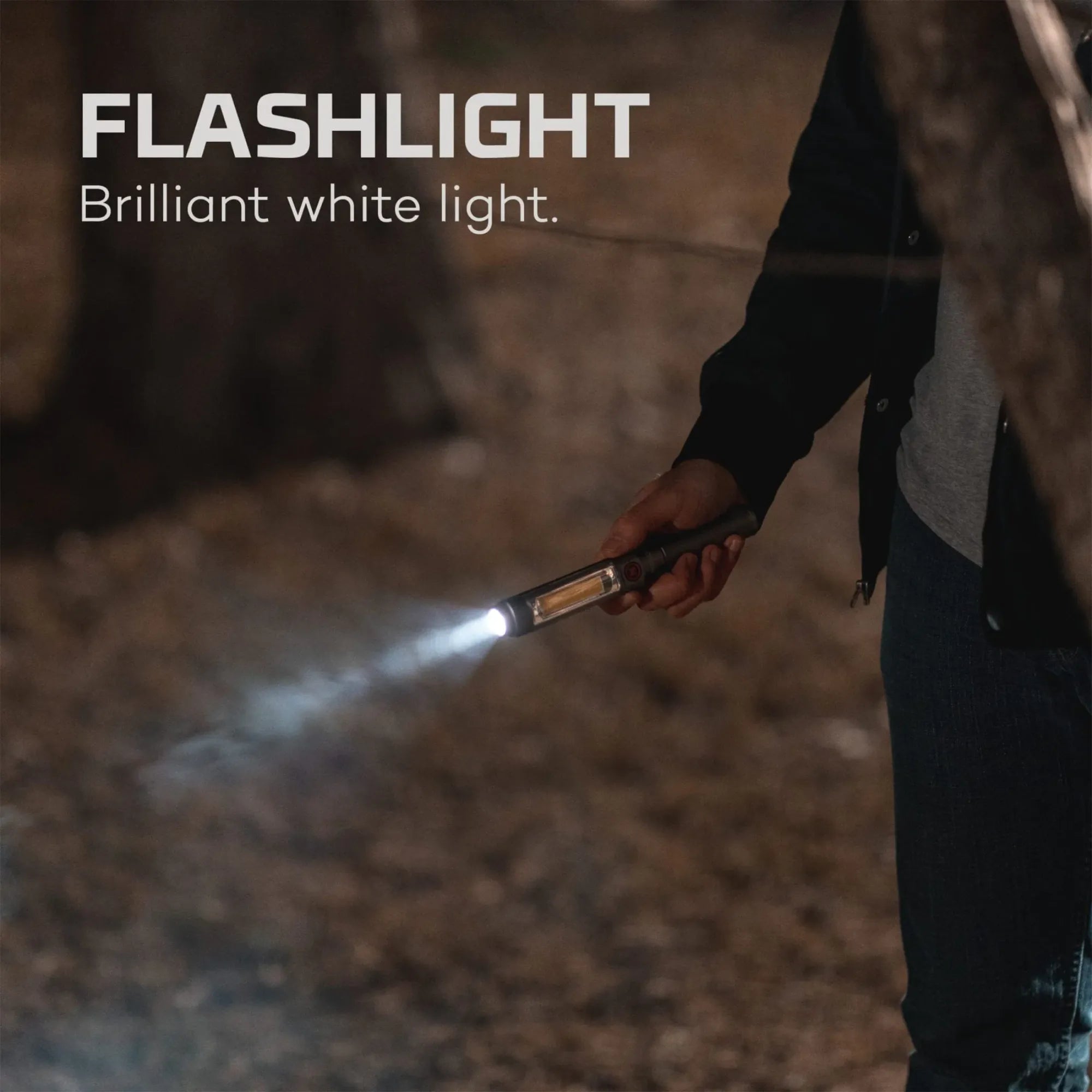 Franklin Dual Rechargable Torch